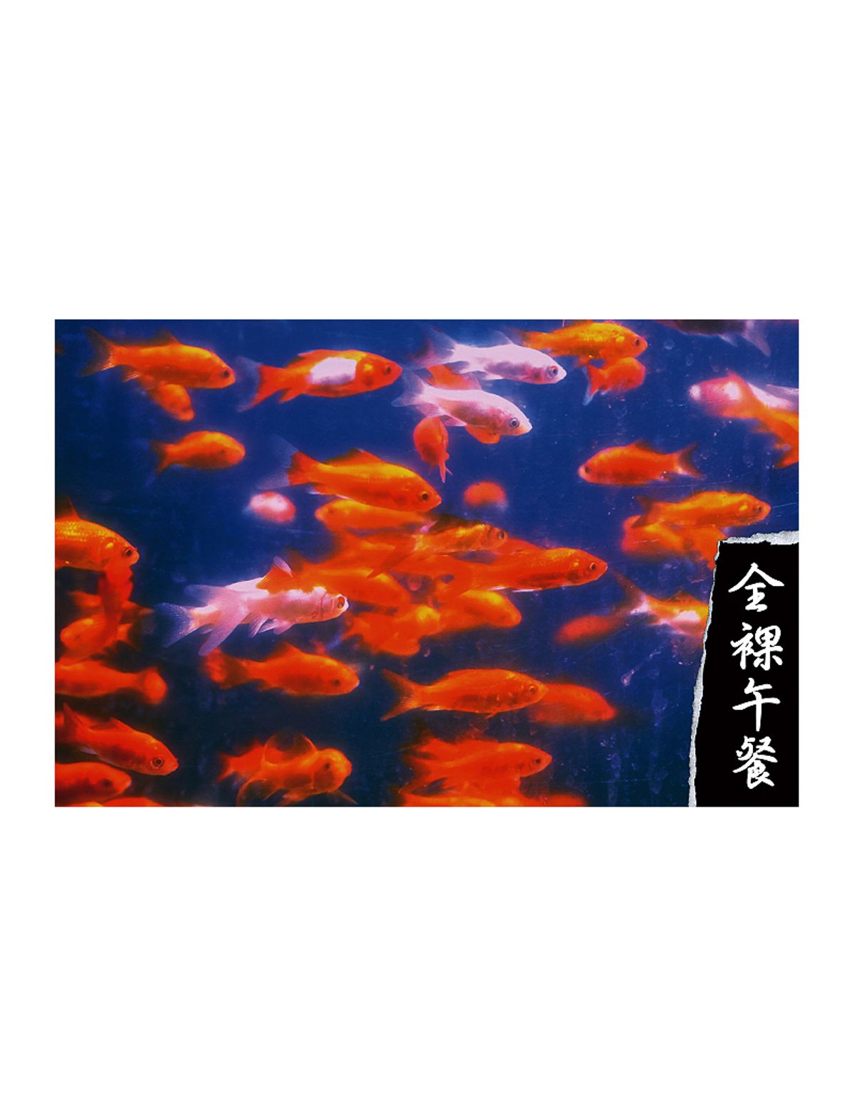 네이키드 런치(NAKED LUNCH) Goldfish Poster