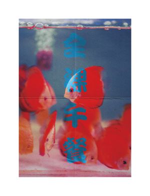 Paper Fishbowl Poster