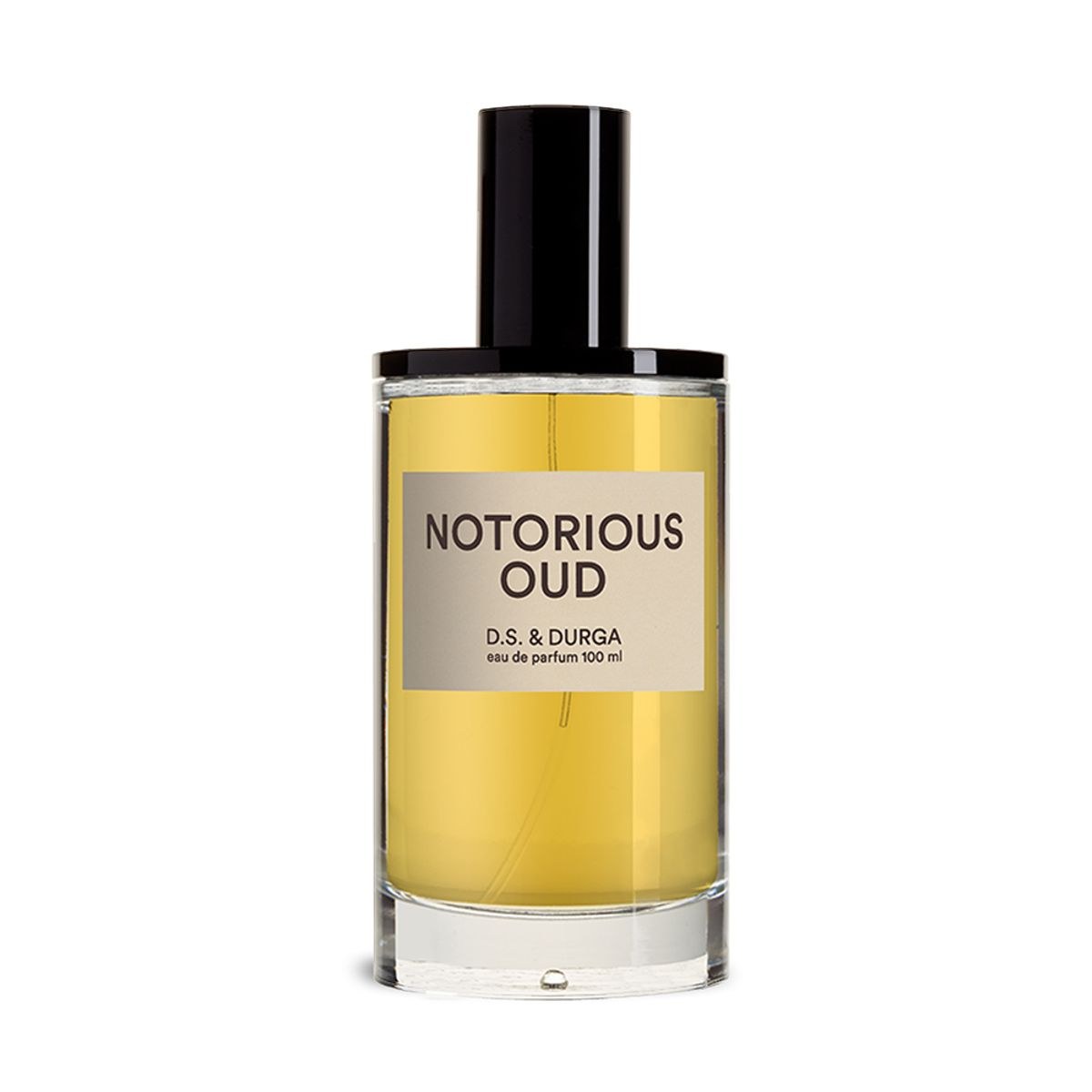 디에스앤더가(DS&DURGA) 노토리어스 오드 오 드 퍼퓸 100ml
