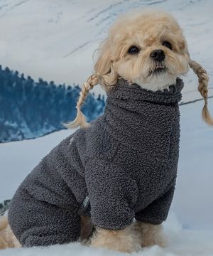 강아지옷 겨울 올인원 넥워머 후리스 그레이