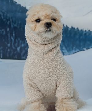 강아지옷 겨울 올인원 넥워머 후리스 베이지