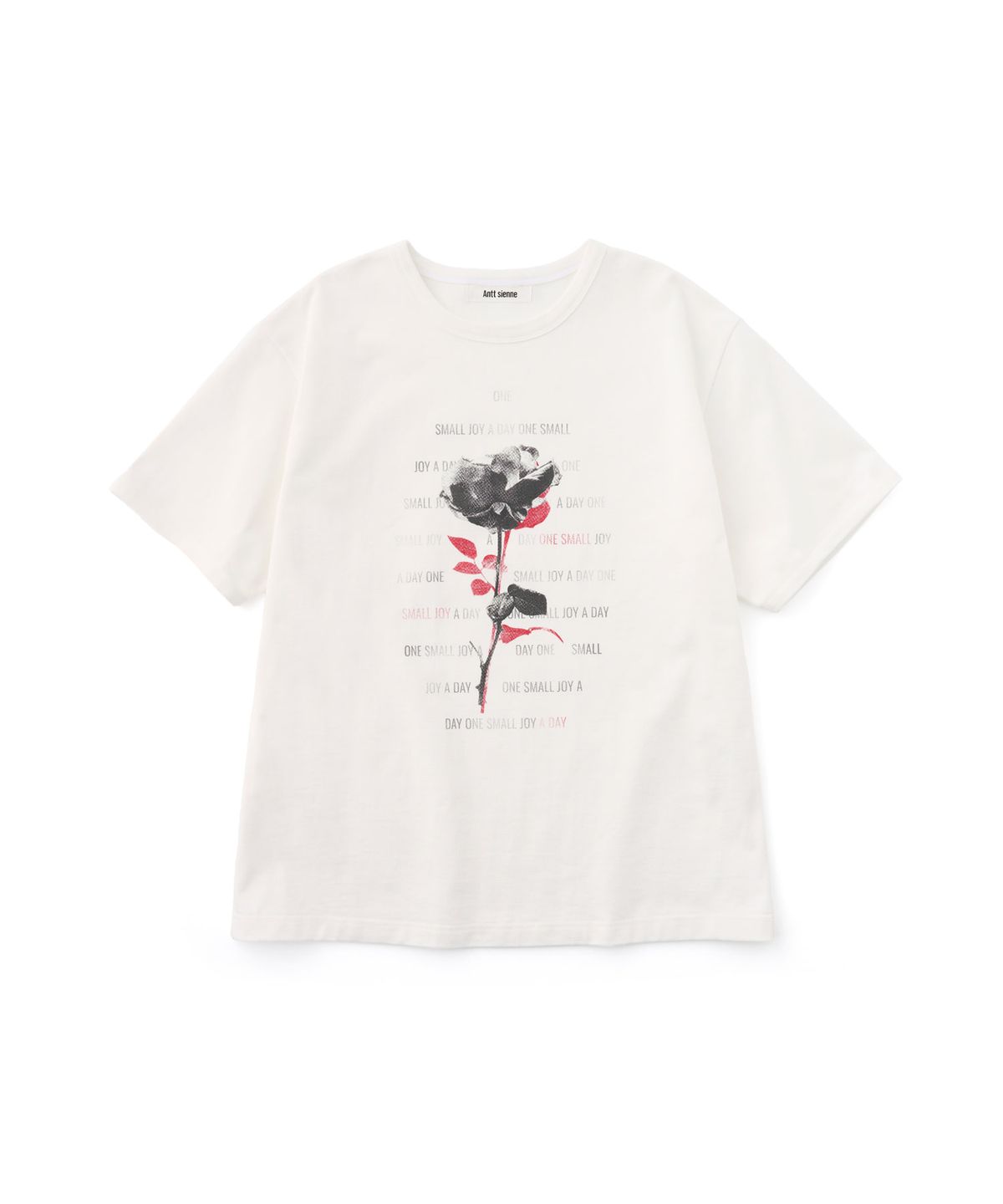 앙뜨시엔느(ANTT SIENNE) Antt Rose Top (White)
