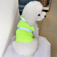 Thumbnail 0