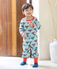 Thumbnail 0
