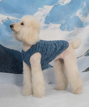 강아지 양털 꽈배기티 S-5XL 로얄블루