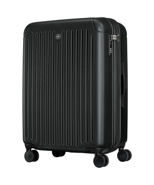 플린 프로 기내용캐리어 스위스 러기지 확장형 (26인치)