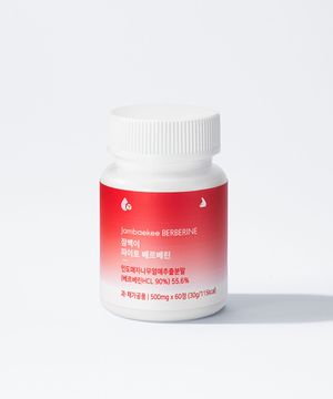 파이토 베르베린 매자나무추출물 500mg 60정