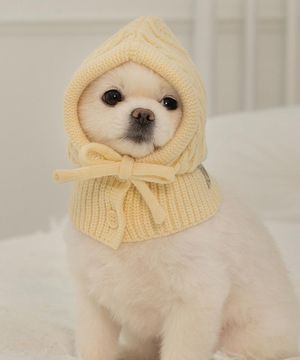 강아지 모자 바라클라바 아이보리