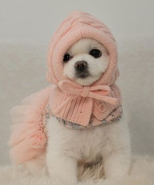 강아지 모자 바라클라바 핑크