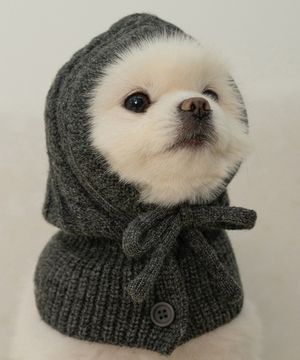 강아지 모자 바라클라바 차콜