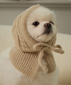 강아지 모자 바라클라바 메란지