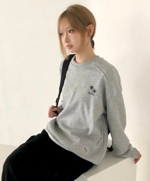 스몰 로고 맨투맨 (2컬러)