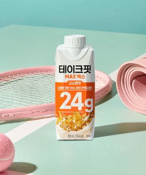 테이크핏 맥스24G 고소한맛 250mL x 24개