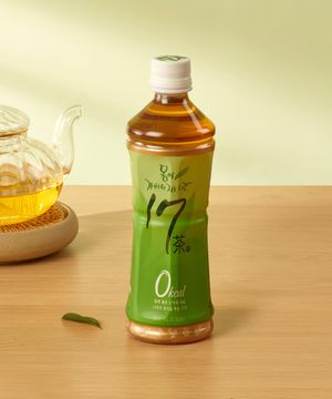 몸이 가벼워지는 시간 17차 500ml x 20개