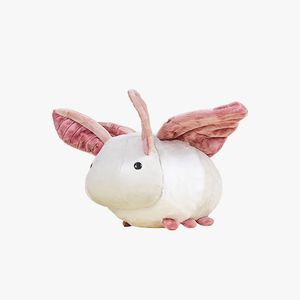 노멀 나방 모시