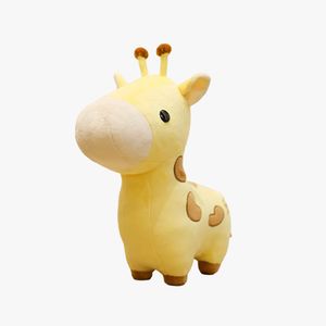 노멀 기린 지라피