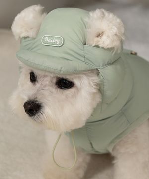 강아지 겨울 모자 스노우캡 미스틱민트