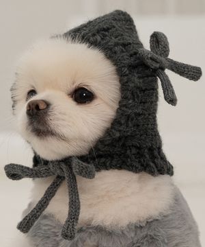 강아지 겨울 모자 코코보넷 차콜