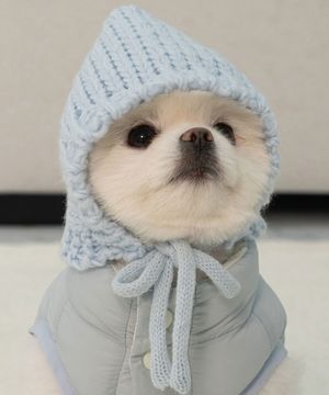 강아지 겨울 모자 코코보넷 스카이