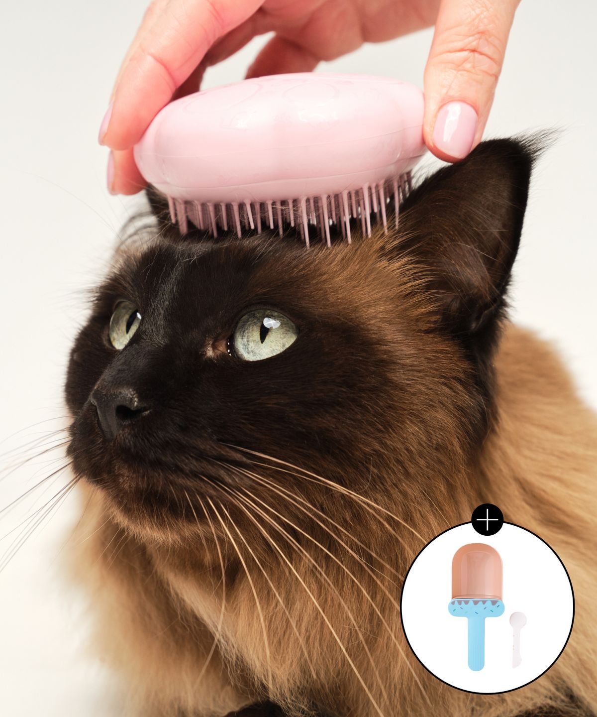탱글티저(TANGLE TEEZER) 캣 그루밍 브러쉬 2종 택 1