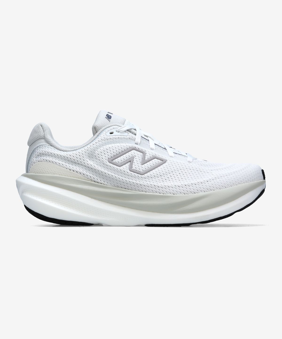 뉴발란스(NEW BALANCE) NBPFGS103W / 1080 V15 (남성, 2E) (L/GRAY)