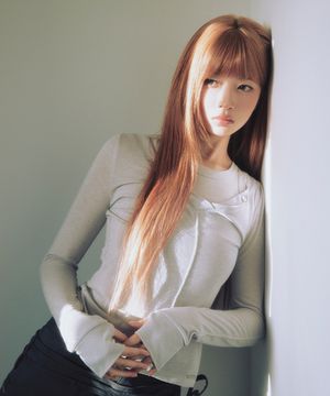 [레이 PICK] Layered line sheer long sleeve GREY