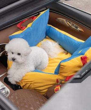 강아지 세이프쉴드 카시트