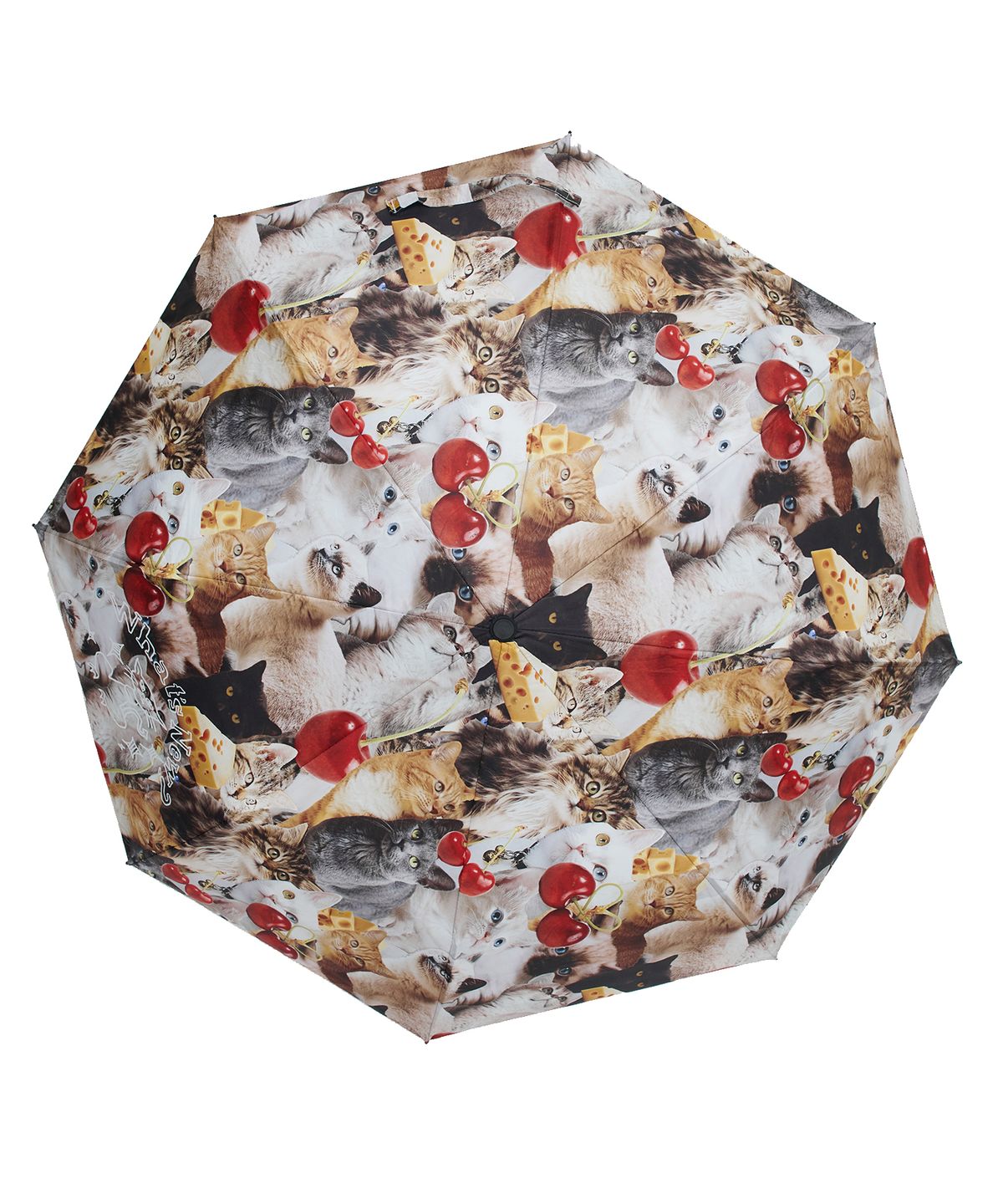 타입서비스(TYPESERVICE) New Cats Umbrella [Red]