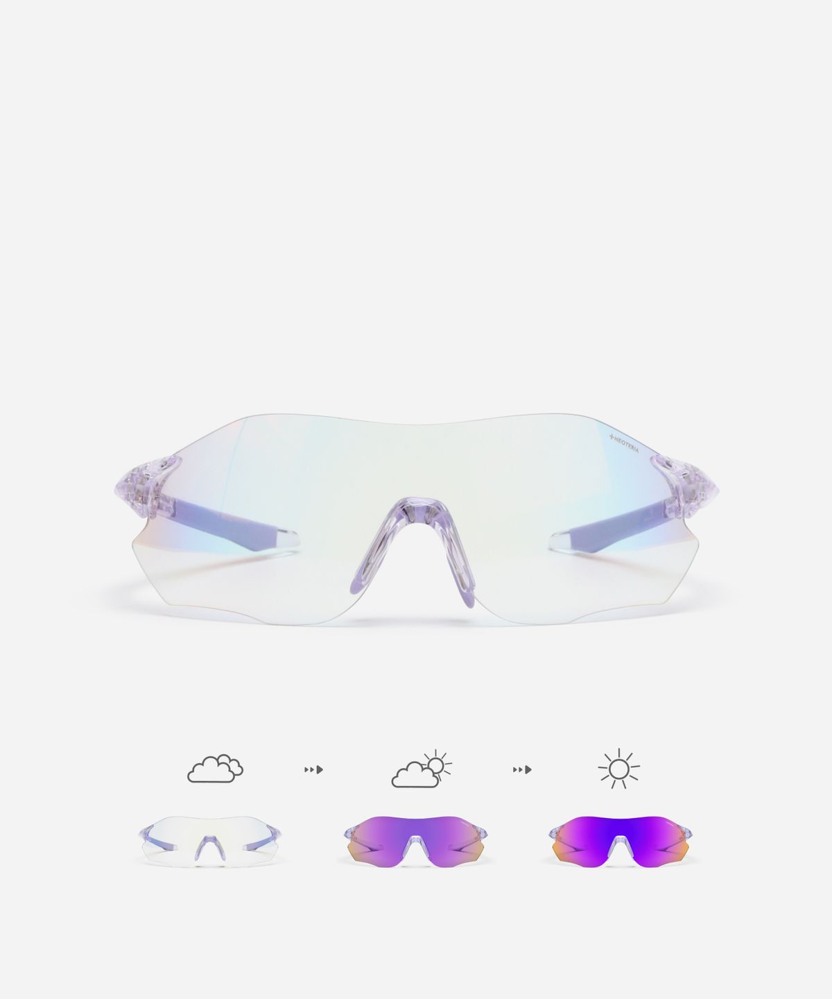 네오테리아(NEOTERIA) VITANO · PURPLE