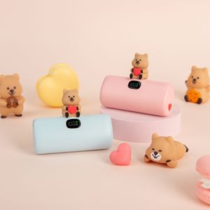꽃카 고속충전 도킹형 보조배터리 4800mAh 20W