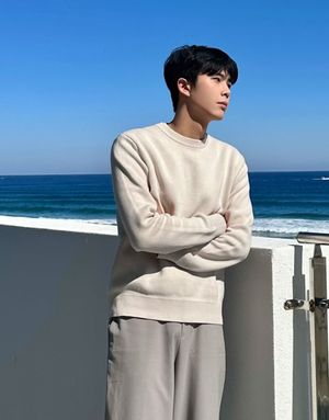 코튼 크루넥 더블 니트 스웨터 10056510/056510 [3color]