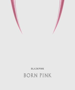 블랙핑크 (BLACKPINK) - 2nd ALBUM [BORN PINK] KiT ALBUM