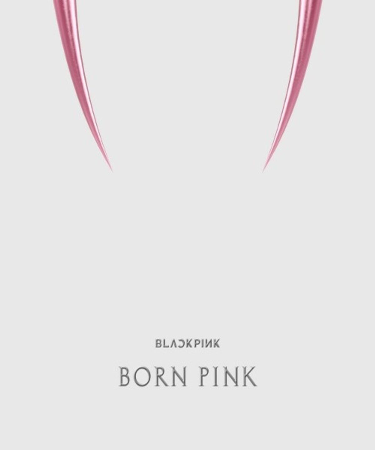 후즈팬 스토어(WHOSFAN STORE) 블랙핑크 (BLACKPINK) - 2nd ALBUM [BORN PINK] KiT ALBUM