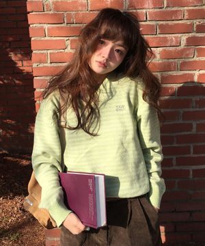 (우먼) 스트라이프 브이넥 니트-민트