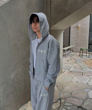 D-Star Hoodie Zip Up GRAY