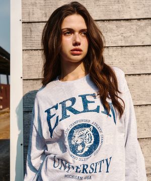 Tiger Print Vintage Sweatshirt Melange Gray