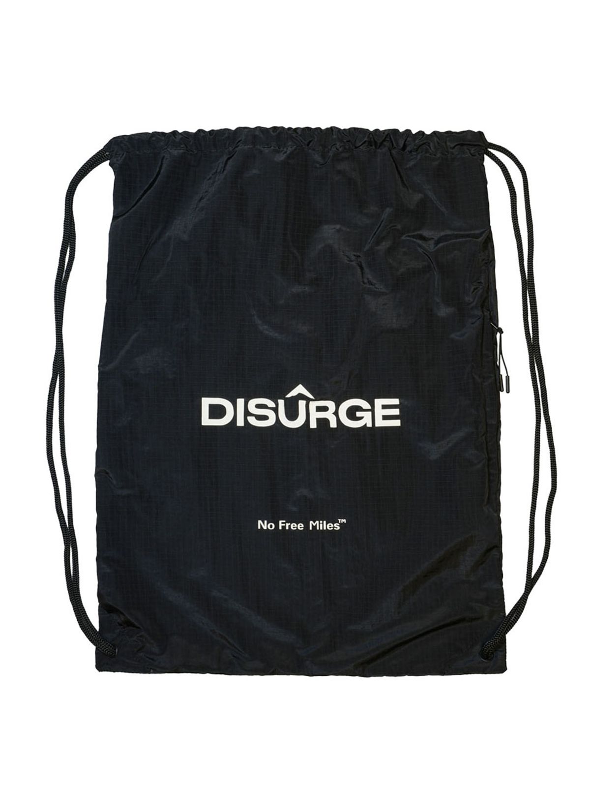 디써지(DISURGE) 캐리온 짐색