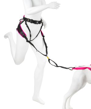 위드 펫 플로우 하네스 러닝하네스 캐니크로스