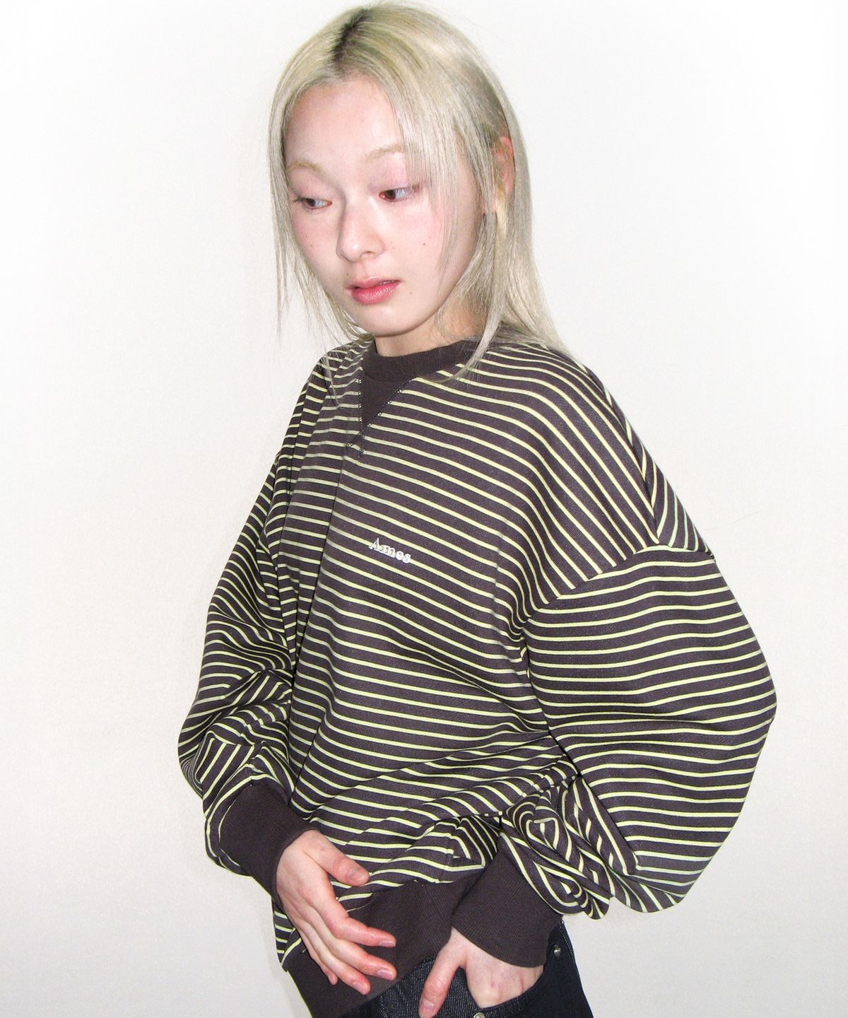 아메스 월드와이드(AMES-WORLDWIDE) BASIC SMALL LOGO STRIPE SWEATSHIRT BROWN