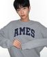 BASIC APPLIQUE SWEATSHIRT GREY