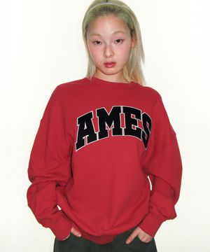 BASIC APPLIQUE SWEATSHIRT RED