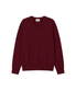 Cotton V-Neck Knit (Burgundy)