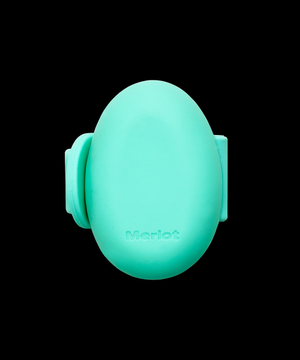 아인 라이트 포레스트