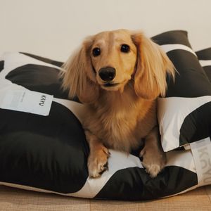 페어링 펫 쿠션 도우 차콜