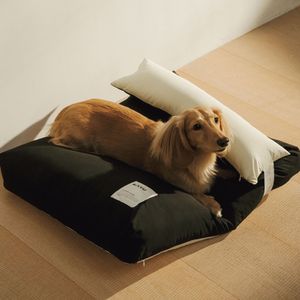 페어링 펫 쿠션 듀스 블랙/레몬