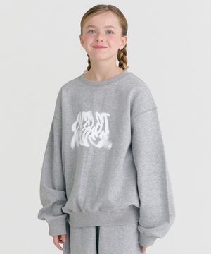 F12 트위스터 필 맨투맨 (그레이)