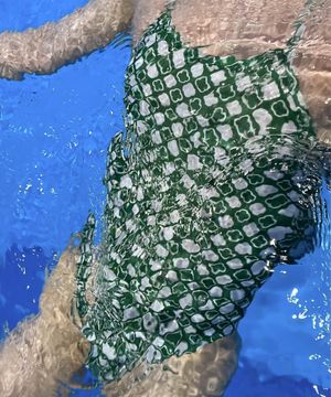 클로버 - 포인트 에디션(시그니처/픽스드백)