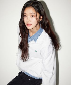 스몰 트위치 로고 하프 집업 맨투맨 라이트그레이