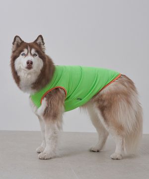 강아지여름옷 애견의류 쿨링 베스트 그린