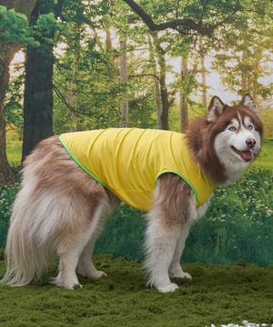 강아지여름옷 애견의류 쿨링 베스트 레몬